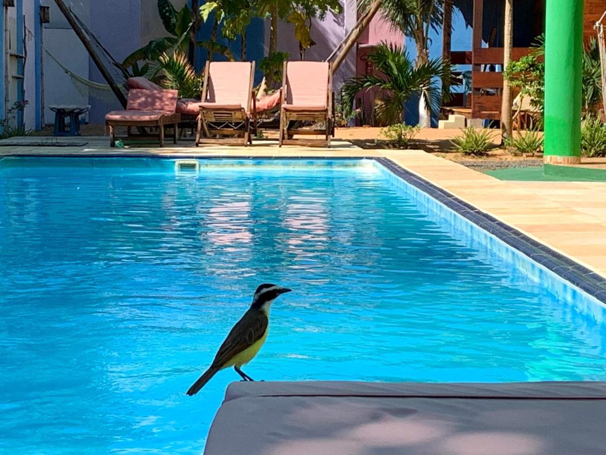 Pousada Janela Da Cor Jijoca de Jericoacoara Luaran gambar